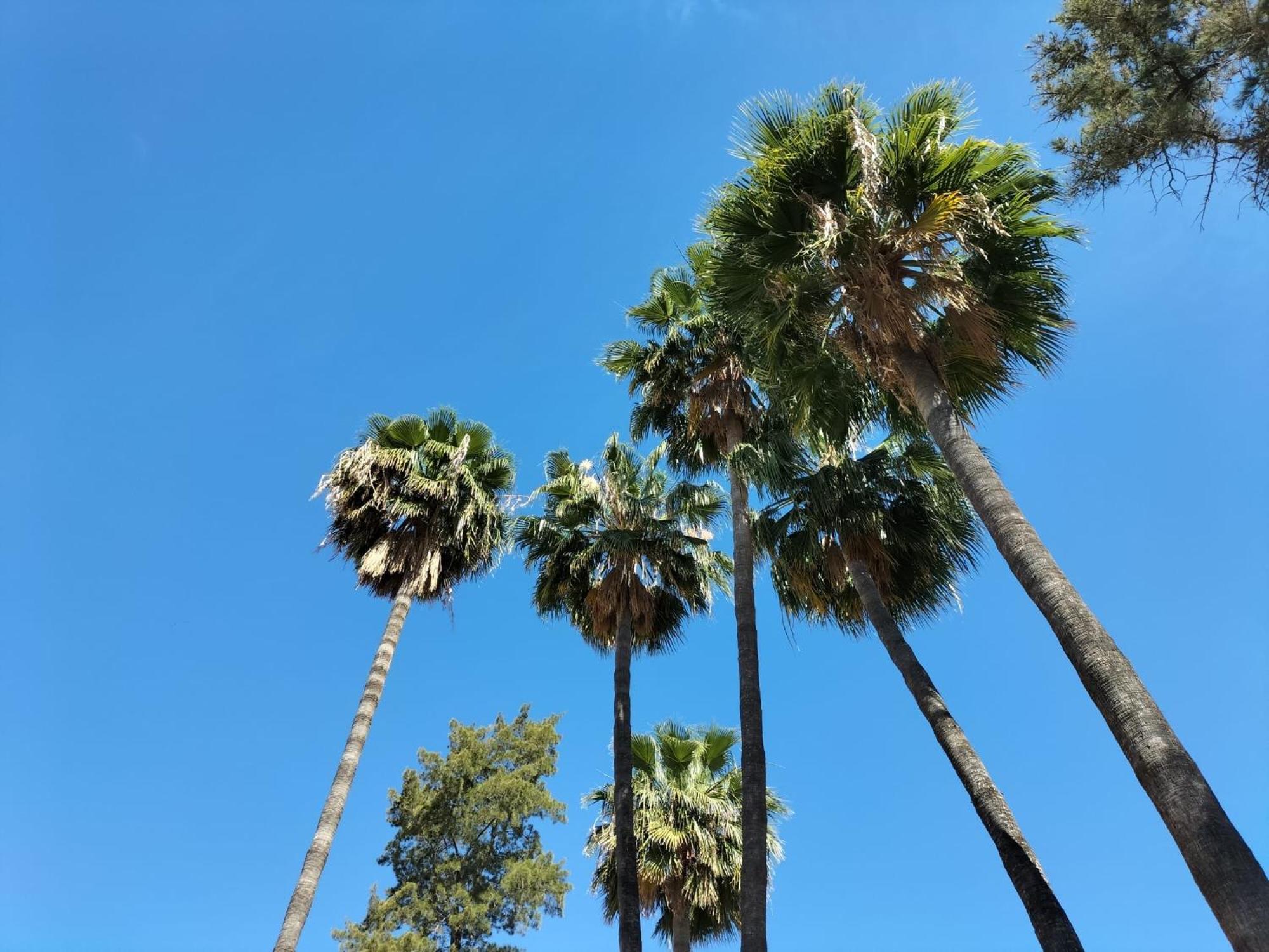 فندق Vas Malaga Ciudad المظهر الخارجي الصورة